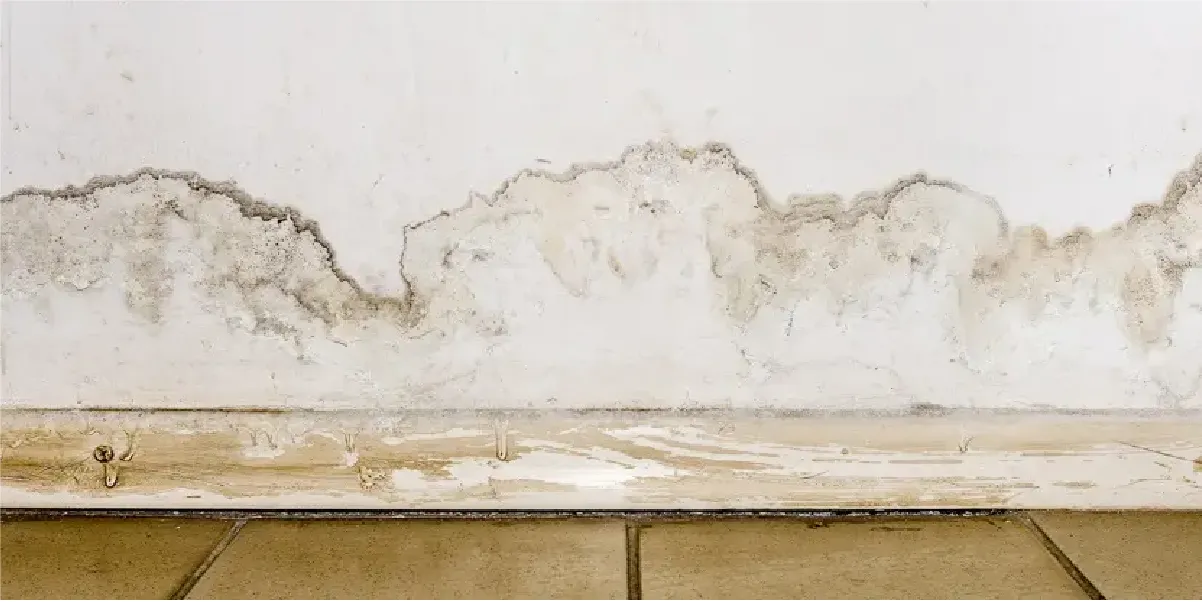 Muro con humedad por capilaridad que afecta la eficiencia energética en viviendas