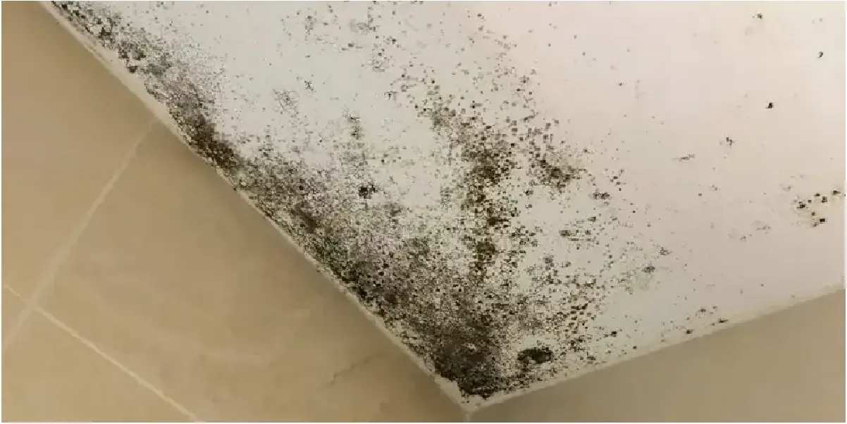 Techo con humedad por condensación que afecta la eficiencia energética en viviendas