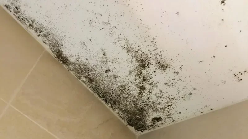 Techo con humedad por condensación que afecta la eficiencia energética en viviendas
