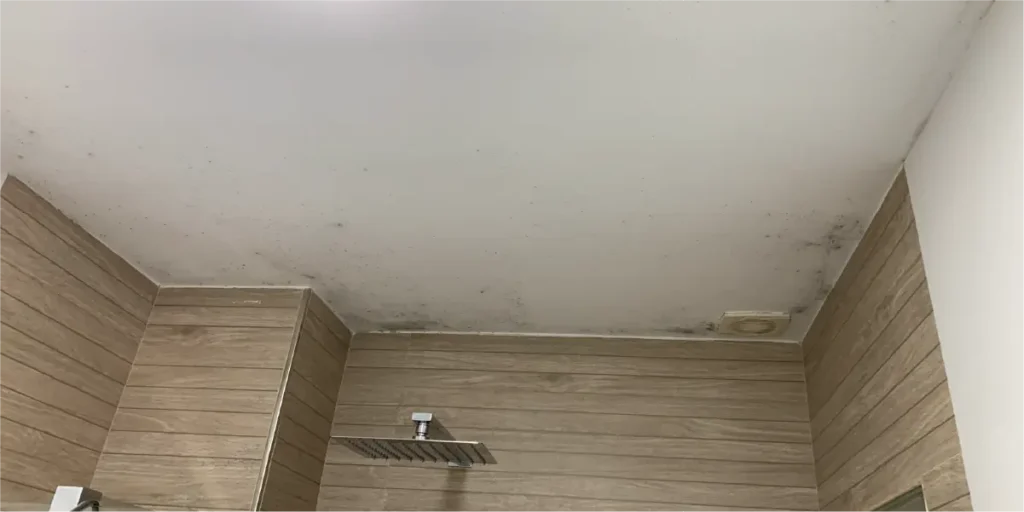 Humedades en Madrid por condensación